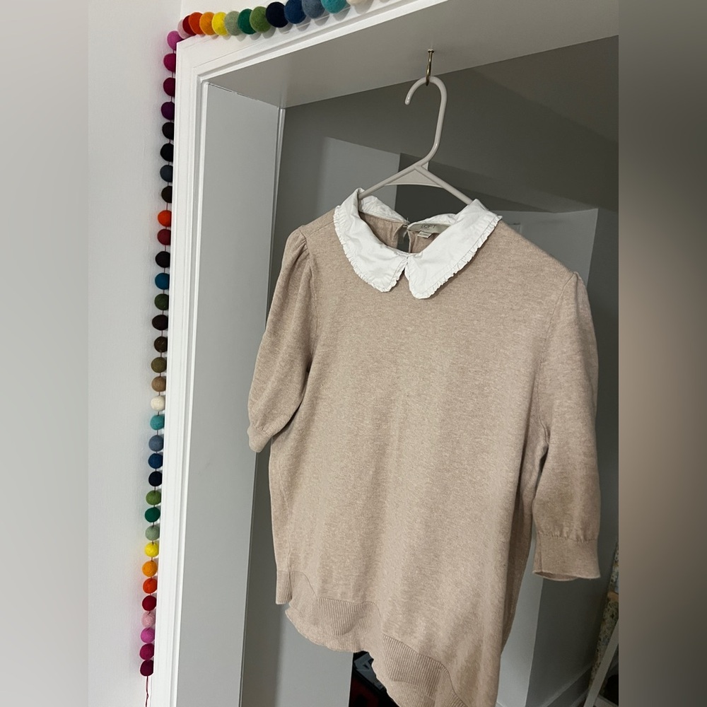 LOFT Women's Short Sleeved Tan Sweater with White Collar